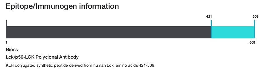 Lck/p56-LCK Polyclonal Antibody