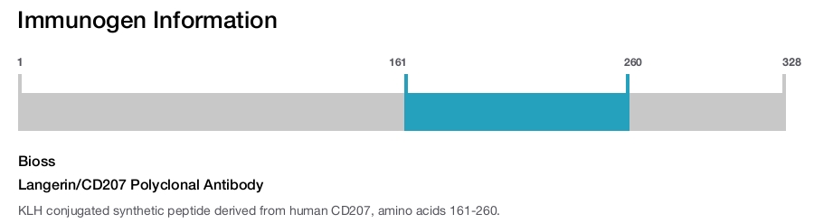 Langerin/CD207 Polyclonal Antibody