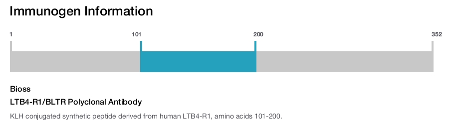 LTB4-R1/BLTR Polyclonal Antibody