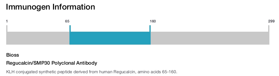 Regucalcin/SMP30 Polyclonal Antibody