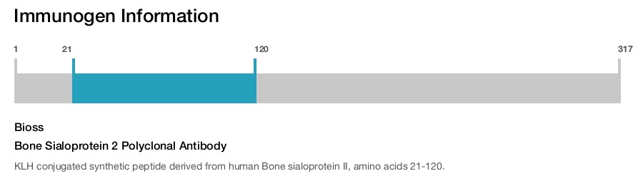 Bone Sialoprotein 2 Polyclonal Antibody