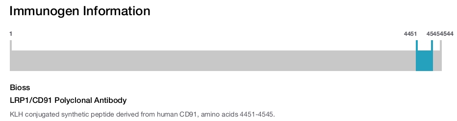 LRP1/CD91 Polyclonal Antibody