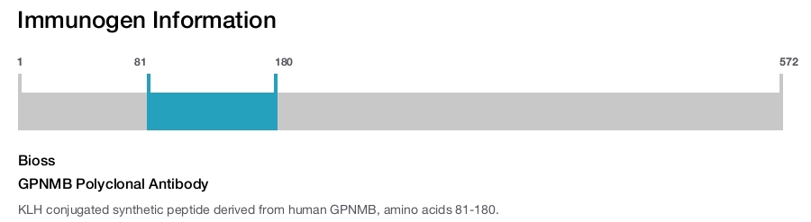 GPNMB Polyclonal Antibody