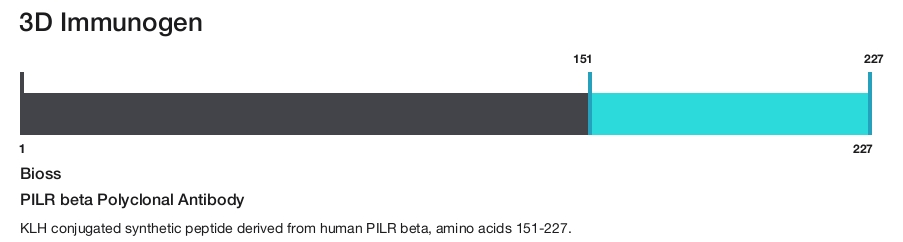 PILR beta Polyclonal Antibody