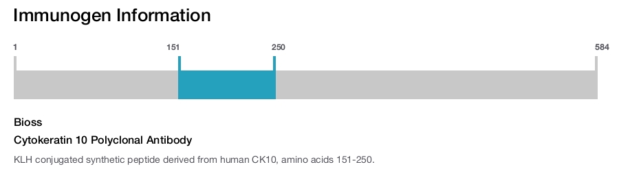 Cytokeratin 10 Polyclonal Antibody