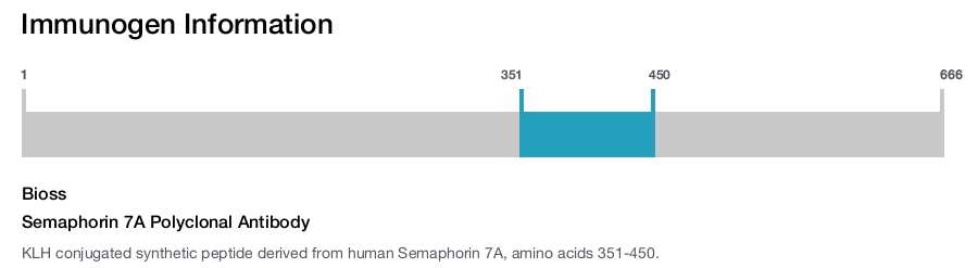 Semaphorin 7A Polyclonal Antibody