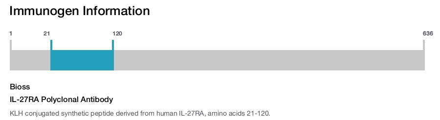 IL-27RA Polyclonal Antibody