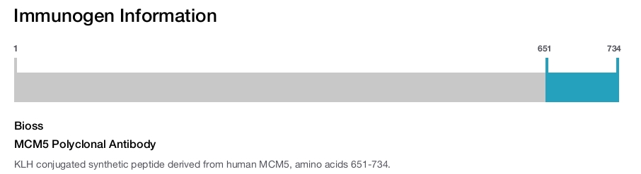 MCM5 Polyclonal Antibody
