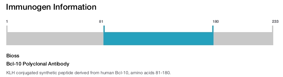 Bcl-10 Polyclonal Antibody