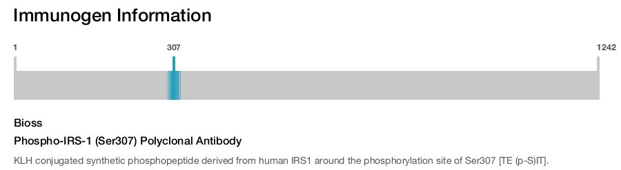Phospho-IRS-1 (Ser307) Polyclonal Antibody