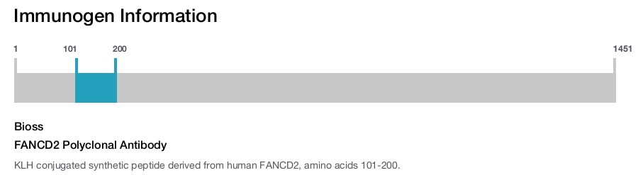 FANCD2 Polyclonal Antibody