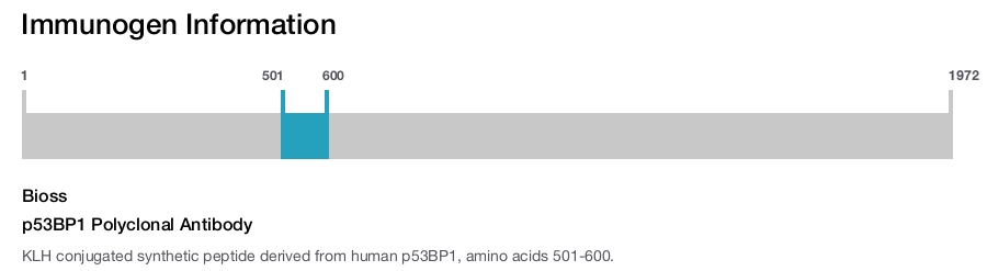 p53BP1 Polyclonal Antibody