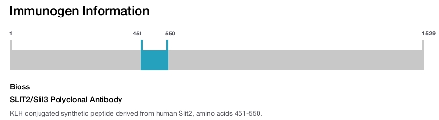 SLIT2/Slil3 Polyclonal Antibody
