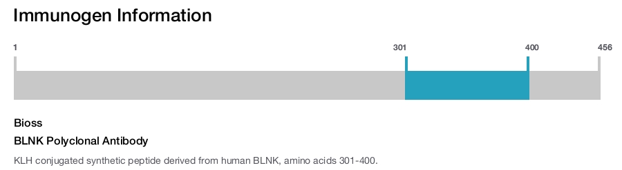 BLNK Polyclonal Antibody
