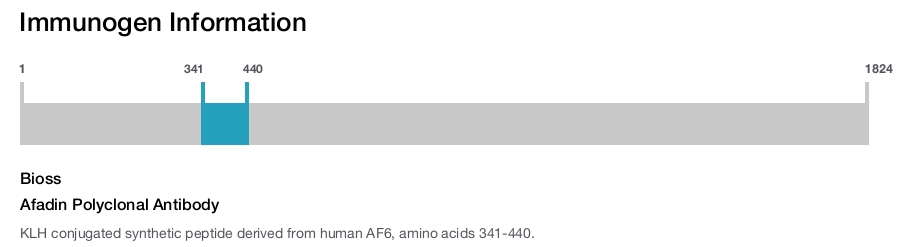 Afadin Polyclonal Antibody