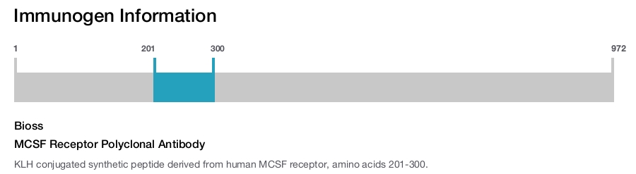 MCSF Receptor Polyclonal Antibody