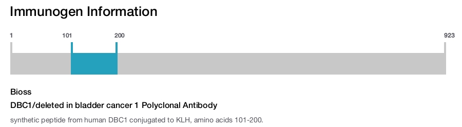 DBC1/deleted in bladder cancer 1 Polyclonal Antibody