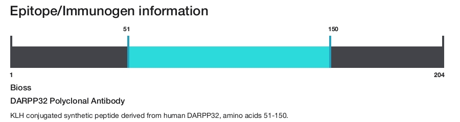 DARPP32 Polyclonal Antibody