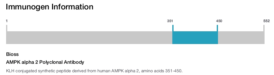 AMPK alpha 2 Polyclonal Antibody