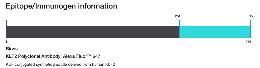 KLF2 Polyclonal Antibody, Alexa Fluor&trade; 647
