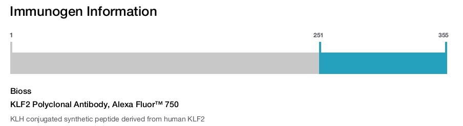 KLF2 Polyclonal Antibody, Alexa Fluor&trade; 750