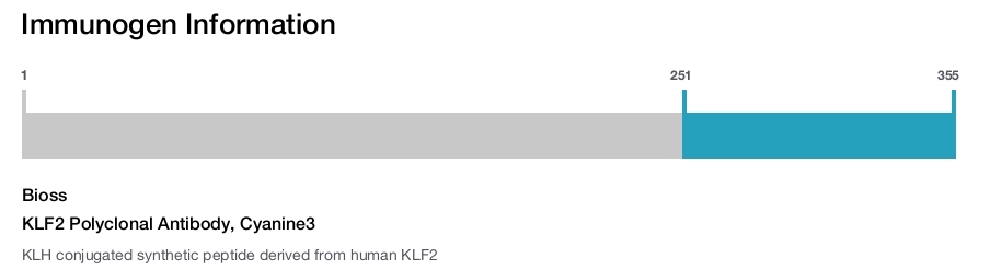 KLF2 Polyclonal Antibody, Cyanine3
