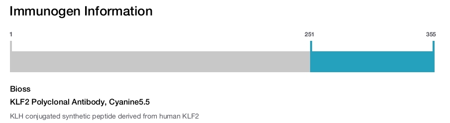 KLF2 Polyclonal Antibody, Cyanine5.5