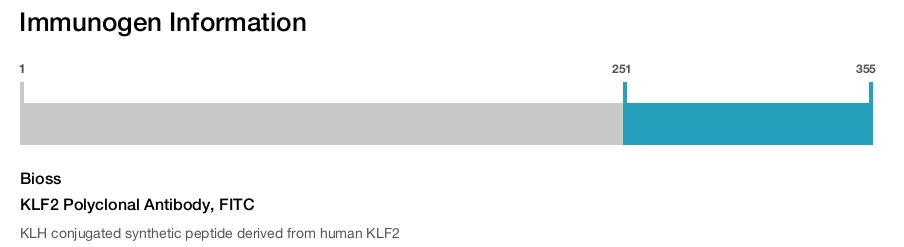 KLF2 Polyclonal Antibody, FITC