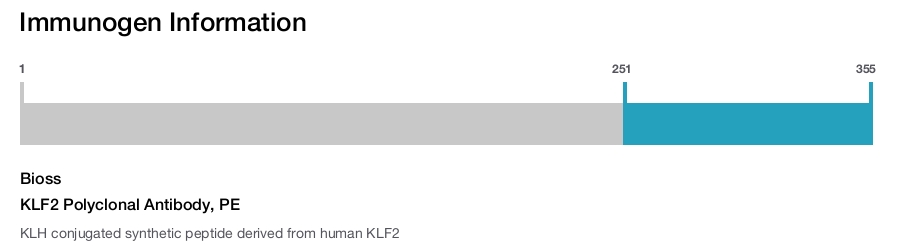 KLF2 Polyclonal Antibody, PE