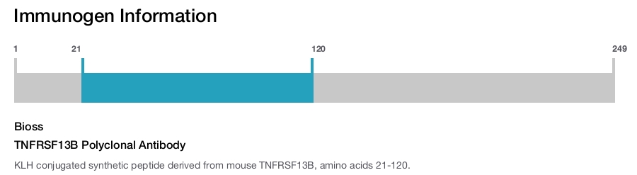 TNFRSF13B Polyclonal Antibody