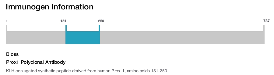 Prox1 Polyclonal Antibody