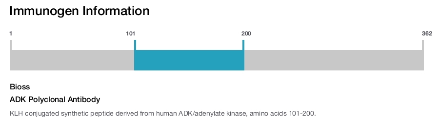 ADK Polyclonal Antibody