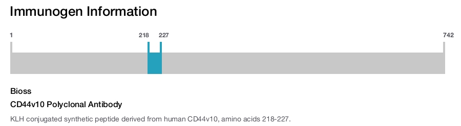 CD44v10 Polyclonal Antibody