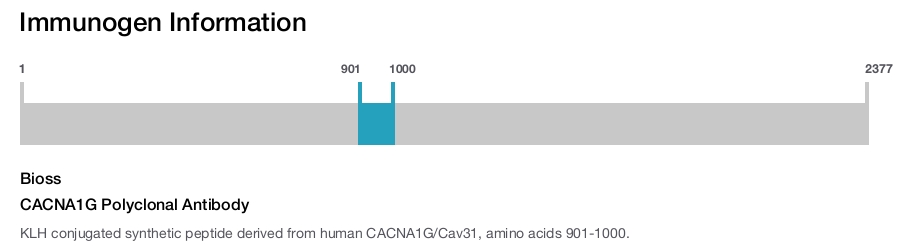 CACNA1G Polyclonal Antibody