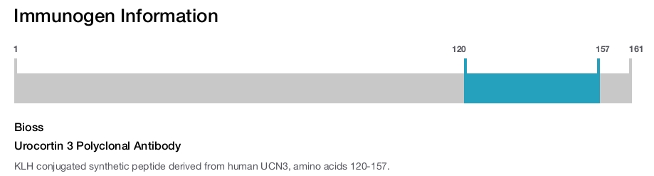 Urocortin 3 Polyclonal Antibody