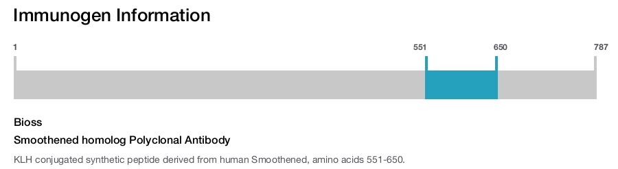 Smoothened homolog Polyclonal Antibody