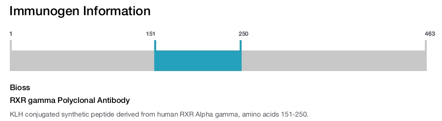 RXR gamma Polyclonal Antibody
