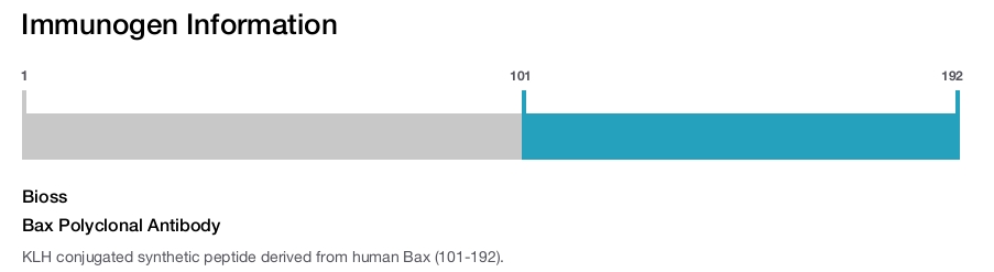 Bax Polyclonal Antibody