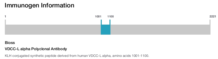 VDCC-L alpha Polyclonal Antibody
