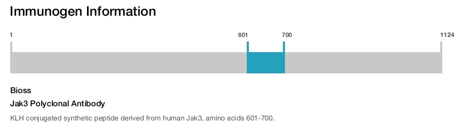 Jak3 Polyclonal Antibody