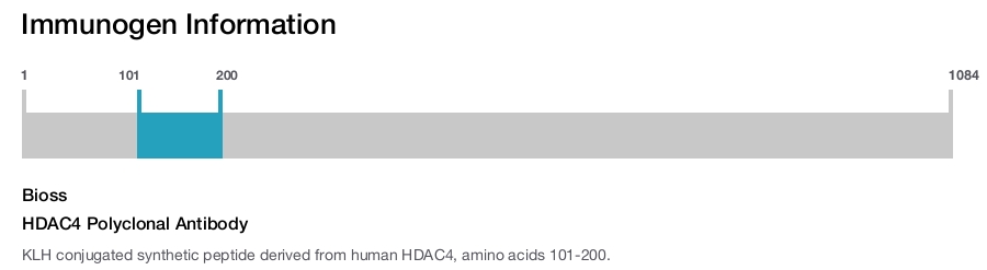 HDAC4 Polyclonal Antibody