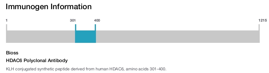 HDAC6 Polyclonal Antibody