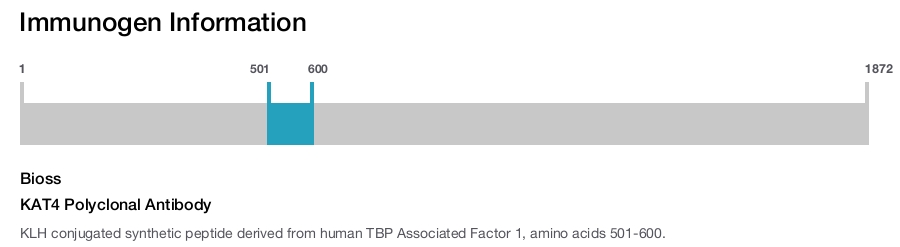 KAT4 Polyclonal Antibody