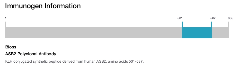 ASB2 Polyclonal Antibody