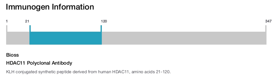 HDAC11 Polyclonal Antibody