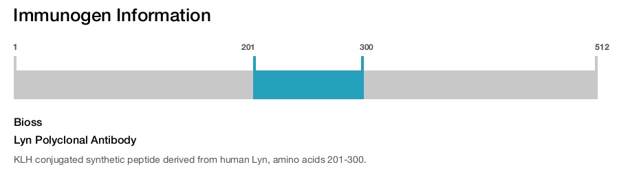 Lyn Polyclonal Antibody