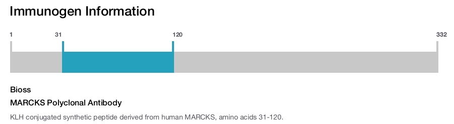 MARCKS Polyclonal Antibody