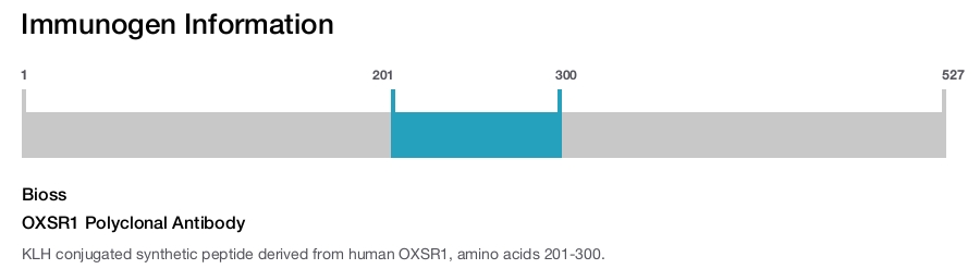 OXSR1 Polyclonal Antibody