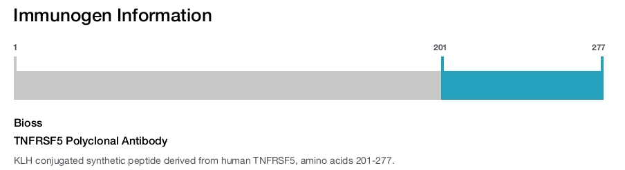 TNFRSF5 Polyclonal Antibody