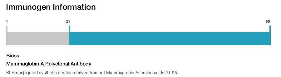 Mammaglobin A Polyclonal Antibody